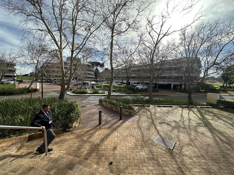 To Let commercial Property for Rent in Mowbray Western Cape